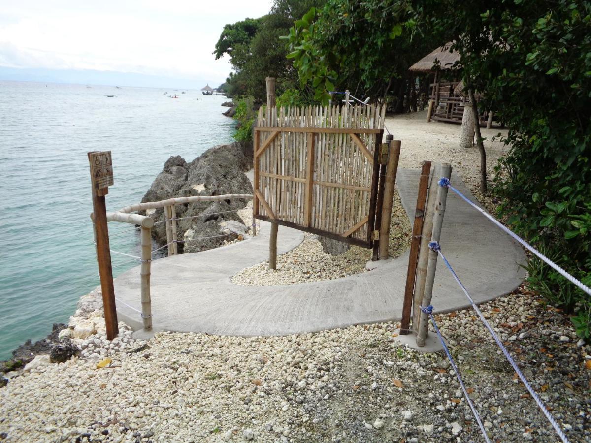 Hotel Sea Turtle House Moalboal Extérieur photo
