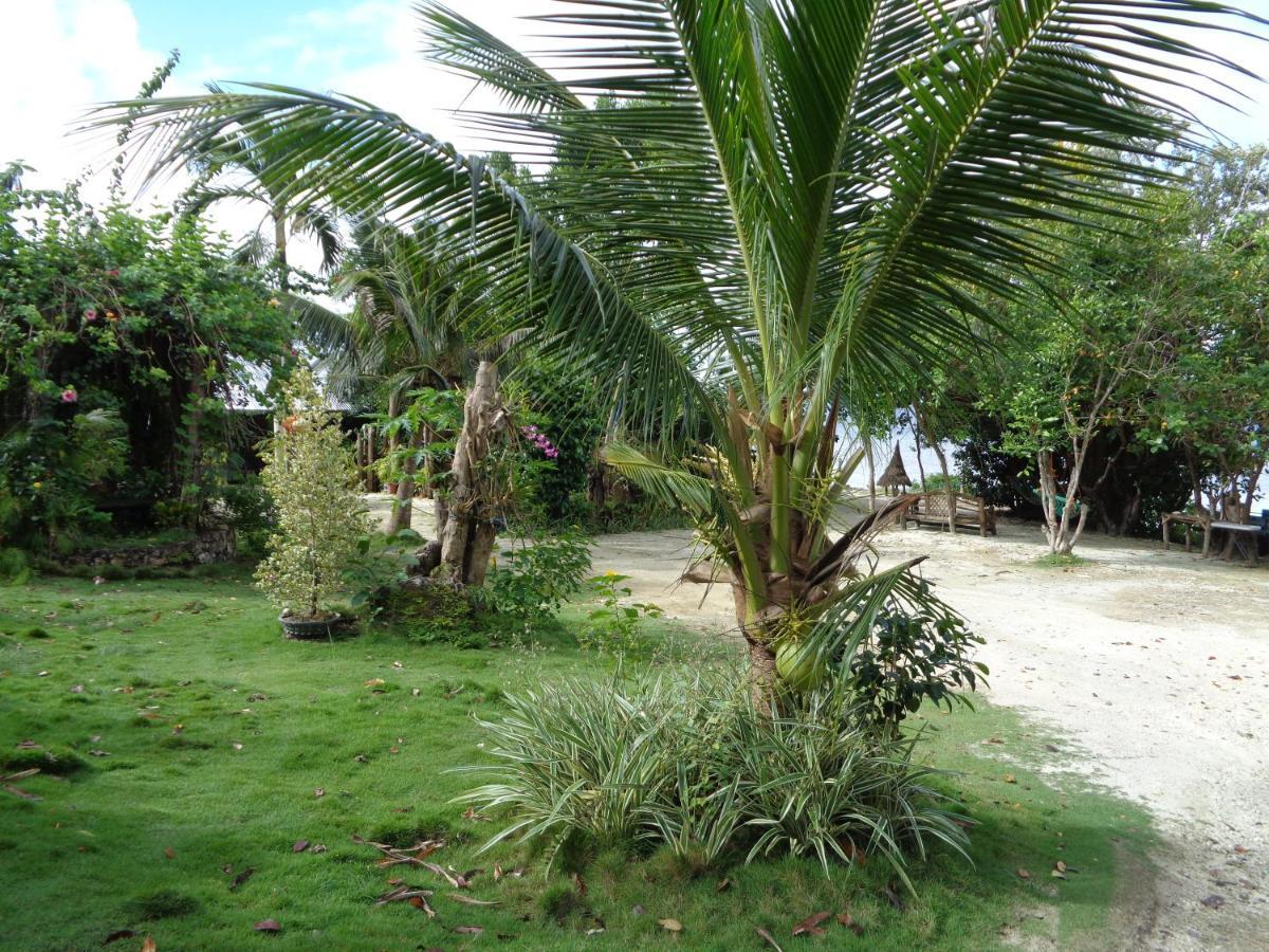 Hotel Sea Turtle House Moalboal Extérieur photo