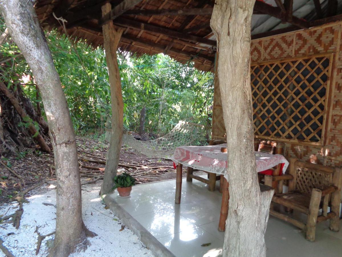 Hotel Sea Turtle House Moalboal Extérieur photo