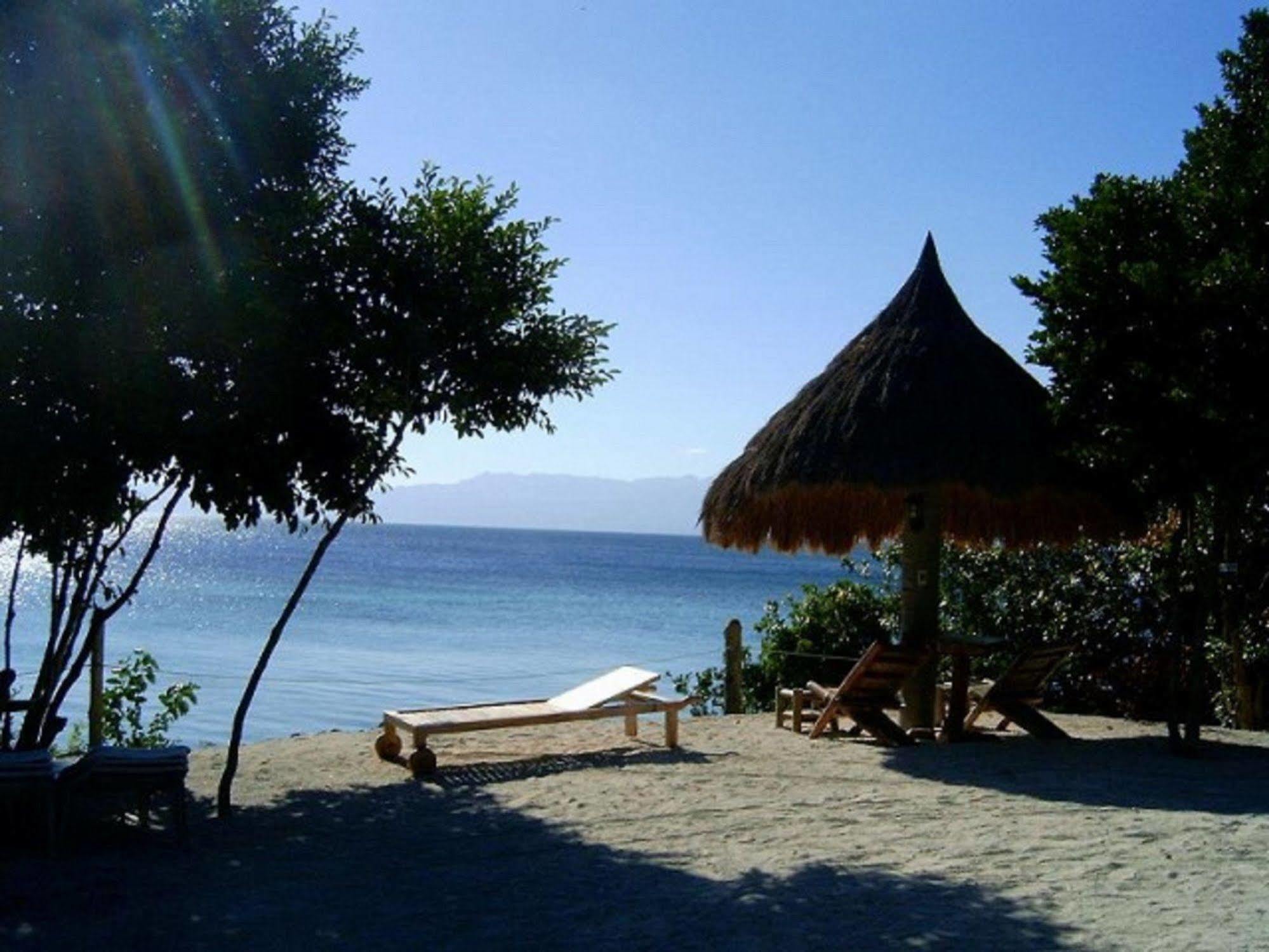 Hotel Sea Turtle House Moalboal Extérieur photo