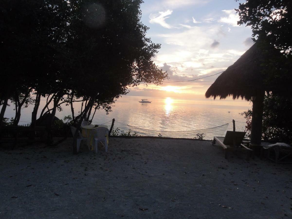 Hotel Sea Turtle House Moalboal Extérieur photo