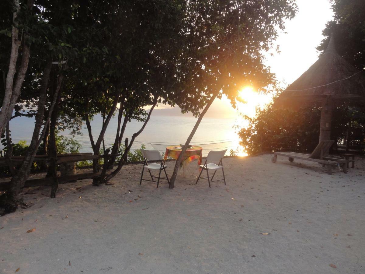Hotel Sea Turtle House Moalboal Extérieur photo