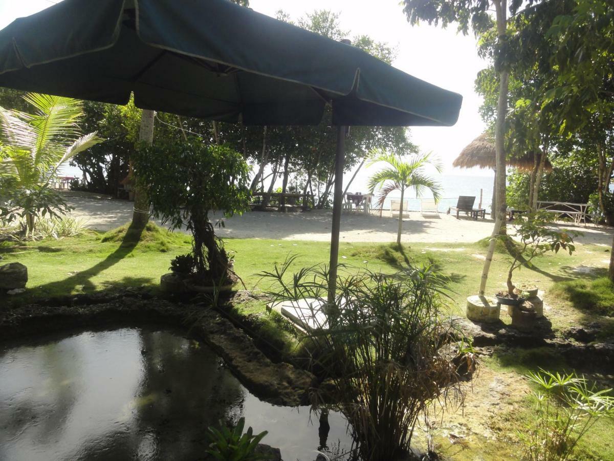 Hotel Sea Turtle House Moalboal Extérieur photo