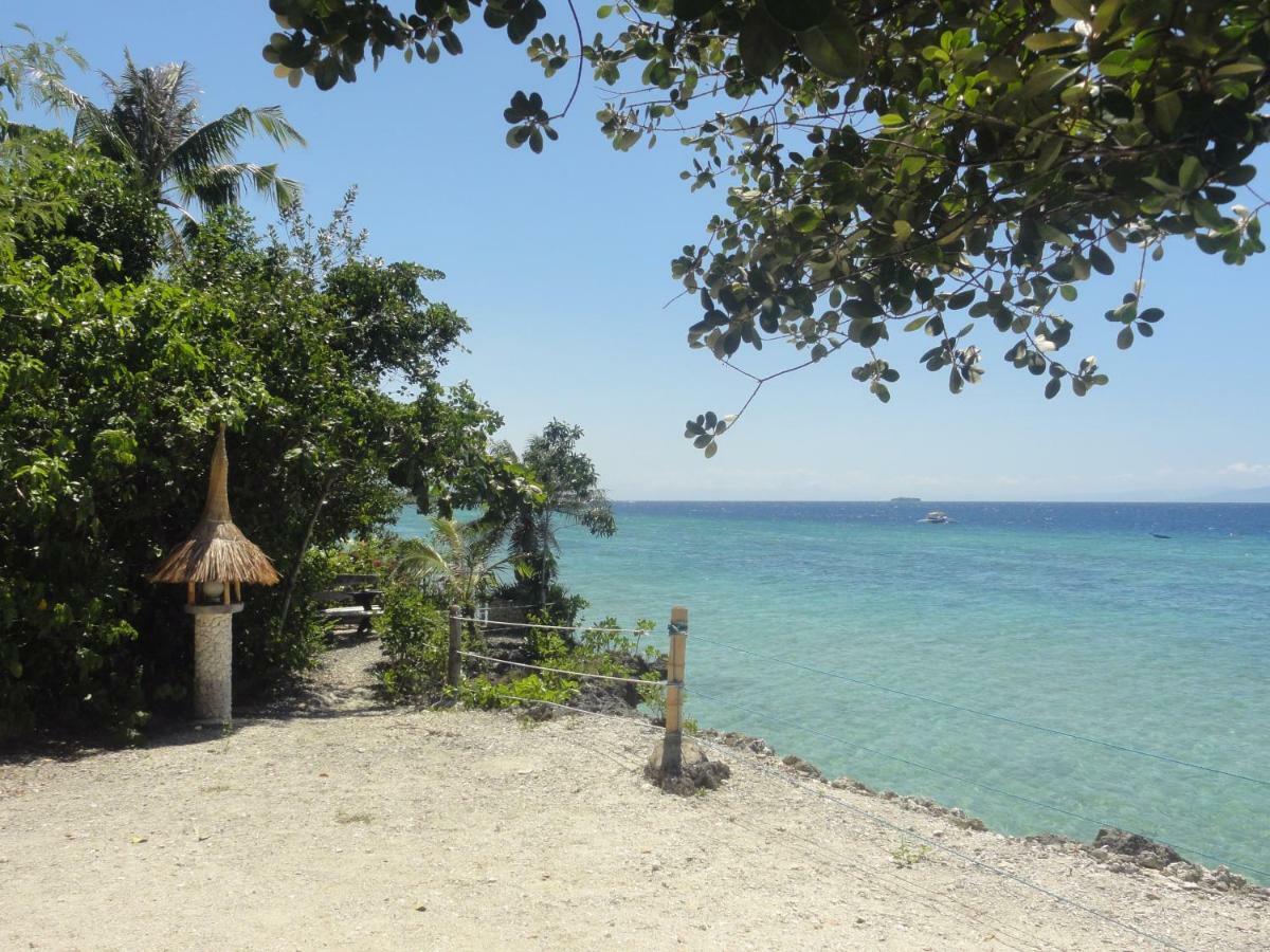 Hotel Sea Turtle House Moalboal Extérieur photo