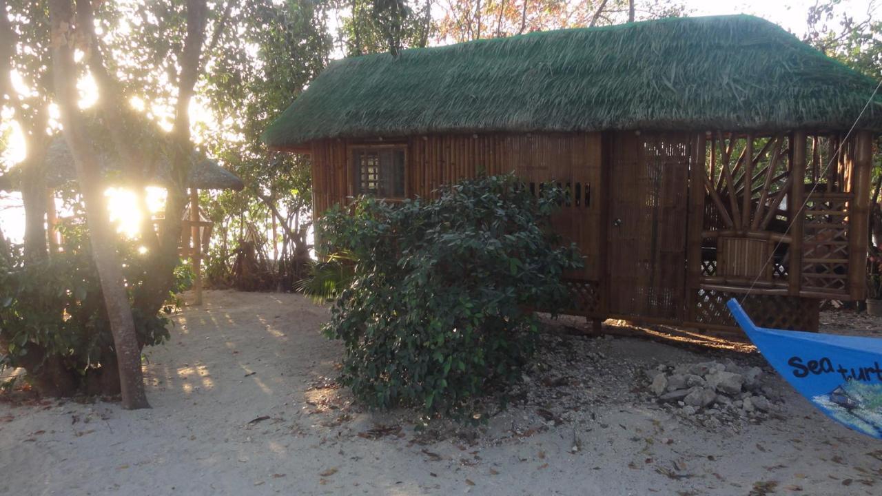 Hotel Sea Turtle House Moalboal Extérieur photo
