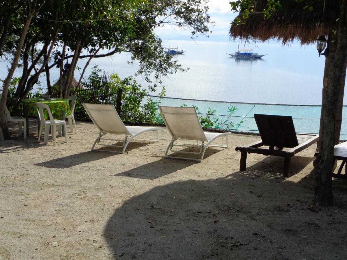 Hotel Sea Turtle House Moalboal Extérieur photo