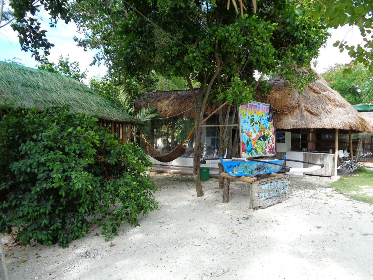 Hotel Sea Turtle House Moalboal Extérieur photo