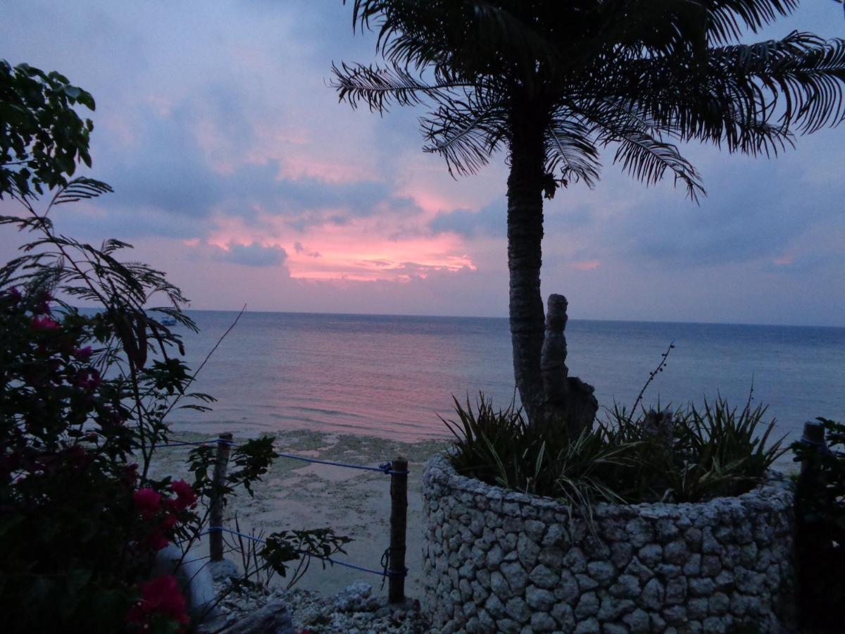 Hotel Sea Turtle House Moalboal Extérieur photo